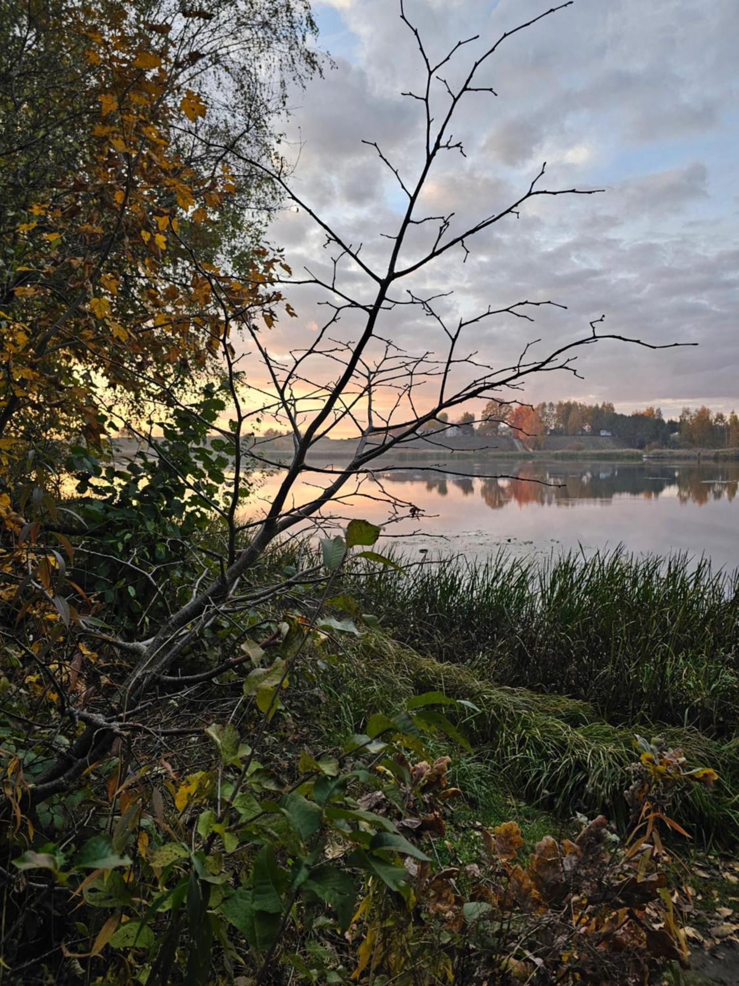 Hytte Na Wyspie -,,Roztoczanskie Morze" Kulikow Esterno foto