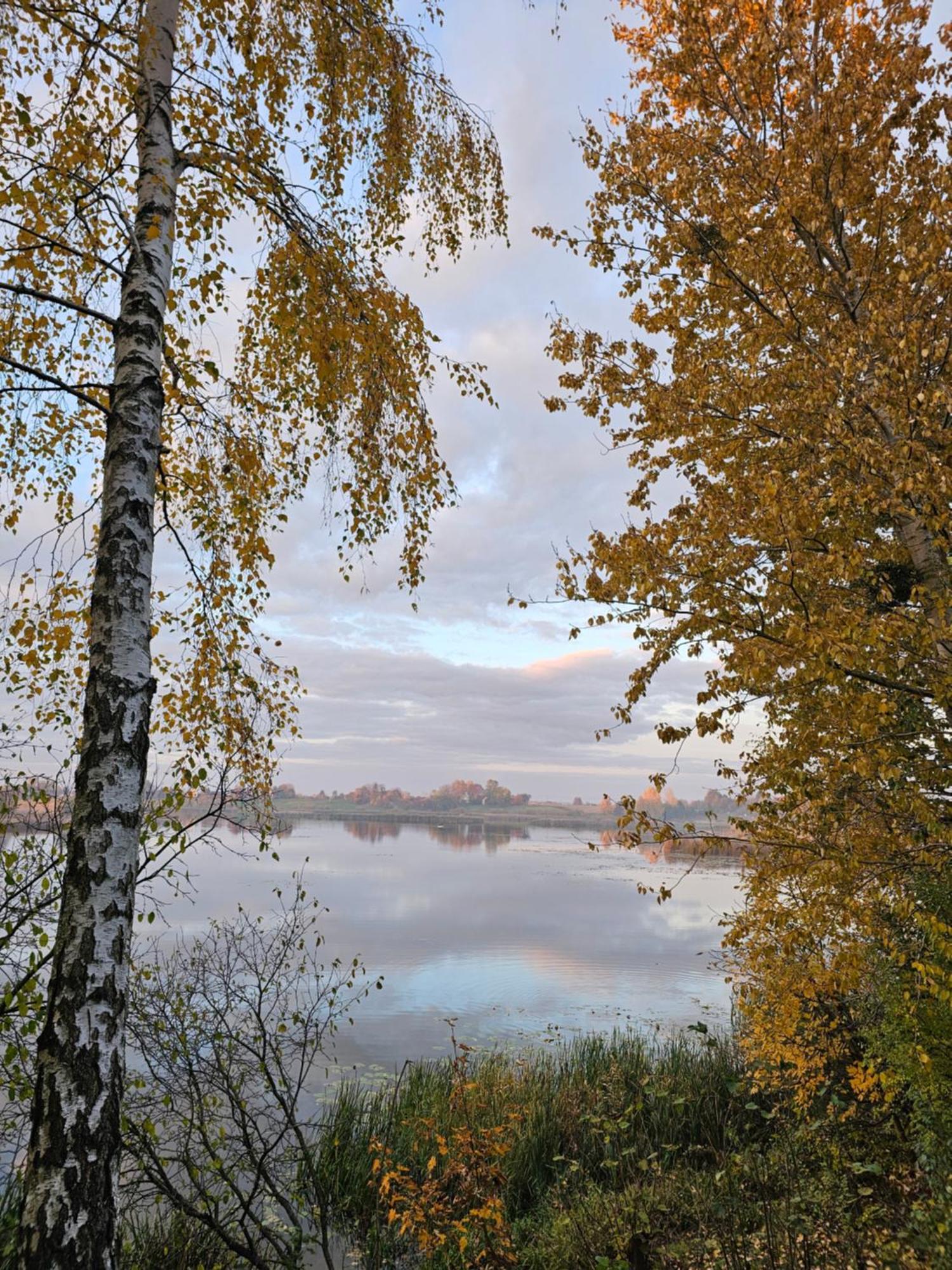 Hytte Na Wyspie -,,Roztoczanskie Morze" Kulikow Esterno foto
